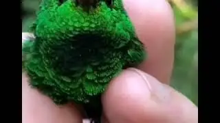 #Абдуллох