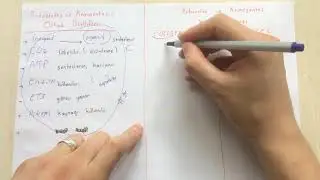 Fotosentez ve Kemosentezin Karşılaştırılması || AYT Biyoloji