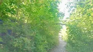 Орманға апарып аямай сікті 🥵😱
