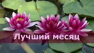 Лучший месяц за 3 года!