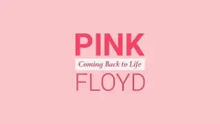 Pink Floyd - Coming Back to Life (cover)
