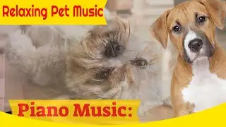 Relaxing Piano Music: Romantic Music, Sleep Music, Relaxing Music For Dogs