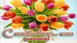 Шмоткина