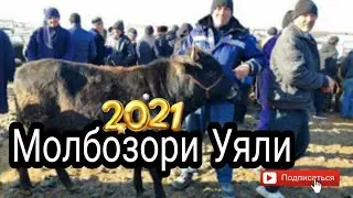 Молбозори уяли 2021| Уяли бозор 2021