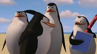 Madagascar en Español Latino | Pingüinos de Madagascar | Escenas Graciosas | Dibujos Animados