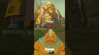 Character Comparison | Zelda: Tears of the Kingdom (2023) vs Breath of the Wild (2017)