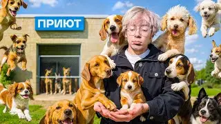 Я ПРОВЕРЯЛ КАРМУ 7 ДНЕЙ (или делал добрые дела)