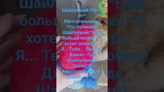 После Двойного Рывка, Шайлуйшай и Мечтательница... (Тоже последняя серия 2 сезона)