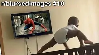 r/blursedimages Best Posts #10