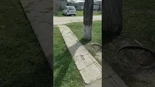5 апреля 2023 г.
