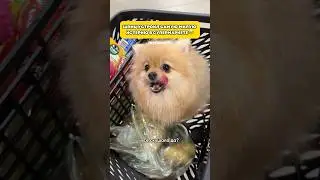 А как бы вы отреагировали?! 
