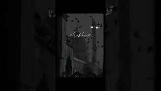 میں کہ ذرہ ہُوں مجھے وسعتِ صحرا دے #islamicstatus #islamicstatus #naats #islamic_video #naatsharif