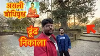 Buddha ka Asli Bodhi tree, Shravasti