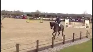 Condido Weston lawns 6yos