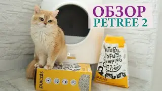 Приключения лотка и обзор Petree2