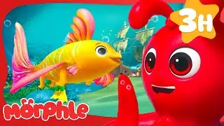 Wishyfish's Ocean Adventure! | Morphle | Magic Kids Cartoon