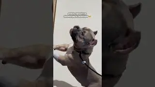 You won't see anything cuter today 🥰