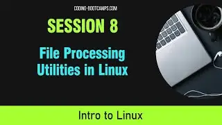 Linux OS for Beginners: Session 8- Comparing Files and Compressing Data