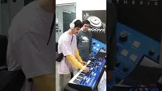 Groove Synthesis 3rd Wave is such a vibe 🔥🔥 @GrooveSynthesis #paidad #samplesfrommars #synthesizer