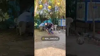 kulorib qotib qolasiz. oxirigacha koʻring. #tiktok #blogger #boburmansurov #mittime_vines #momin