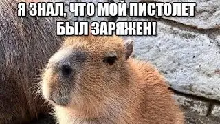 Я ЗНАЛ, ЧТО ПИСТОЛЕТ БЫЛ ЗАРЯЖЕН 💀 / капибара