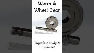 Worm & Wheel Gear 