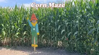 Tanaka Farm - Corn Maze