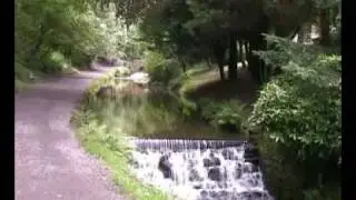 Darwen Woods and tower walk