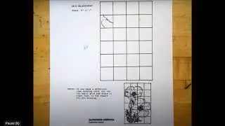 Grid Drawing Unit: Flower Grid (English/ Spanish)