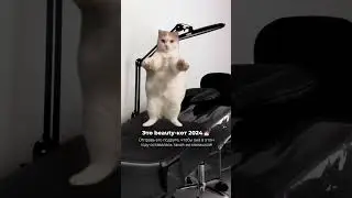 Beauty Logovo😽 Москва, страстной бульвар 6с1