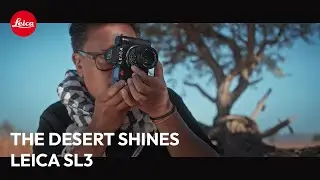 The Desert shines