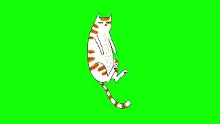 GREEN SCREEN CATS FREE FOR VIDEOS 119 - Green Screen Effects