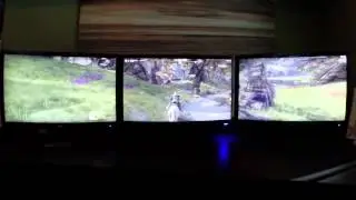 Playing Elder Scrolls Online with Three Displays