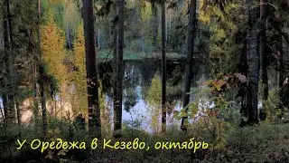 У Оредежа в Кезево, октябрь
