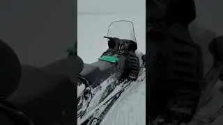 Рыбалка,сазан.