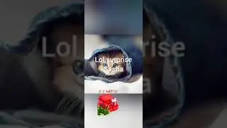 Подарок маме на 8 марта lol surprise Sasha