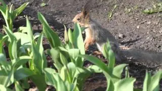 2016 05 04 2