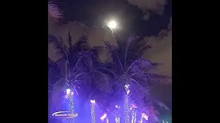 k suave x midnight in malibu type beat 2023 - 