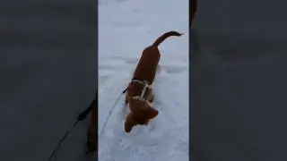 Aki is getting rid of snow (slow motion)