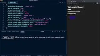 03: [Meteor + Vue] VSCode: configuring ESLint, Prettier and Vue