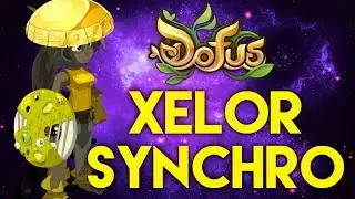 XELOR + SYNCHRO