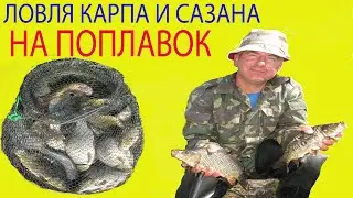 Ловля карпа , сазана на поплавок на озере.