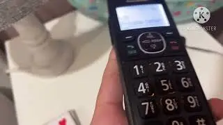 Cell Line Ringing/Telephones Ringing/6/21/24