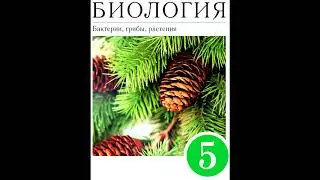 § 11 Строение и жизнедеятельность бактерий