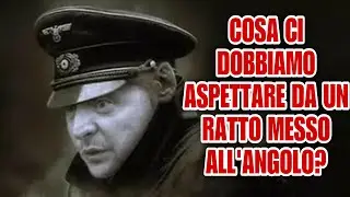 Cosa ci dobbiamo aspettare da un ratto messo all’angolo?