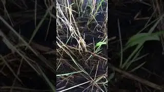 Рыбалка.