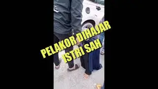 PELAKOR DIHAJAR ISTRI SAH ( 