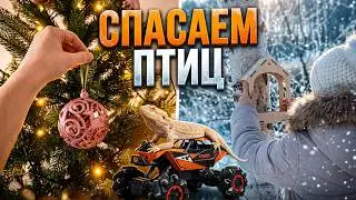Как мы готовились к Новому году и зачем мы пошли в лес.