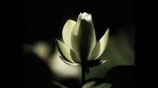 Maneesh de Moor - Moola Meditation
