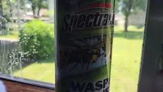 Spectracide Insect Wasp and Hornet Killer(Review)